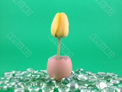 Easter decoration