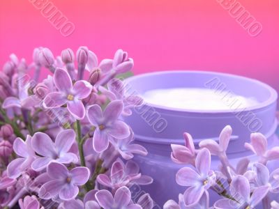 body cream