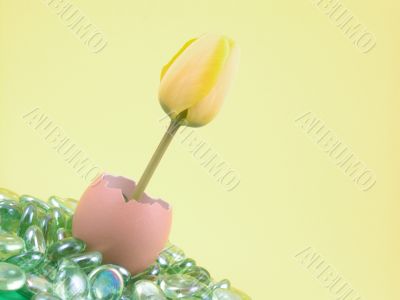 Easter decoration