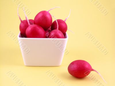 radish