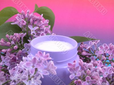 body cream