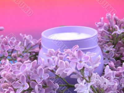 body cream