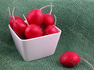 radish