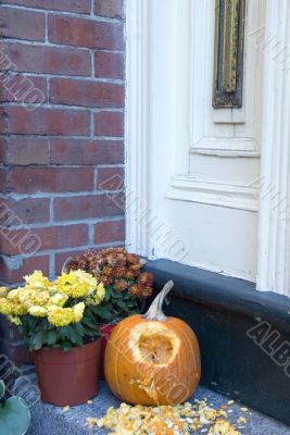 Halloween Pumpkins