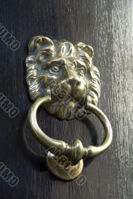 Brass Door Knocker