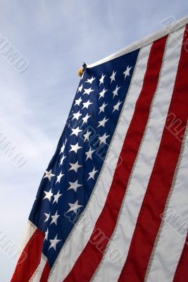 Stars and Stripes