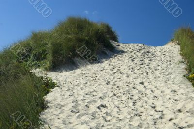 Footpath nearing the top of the dune