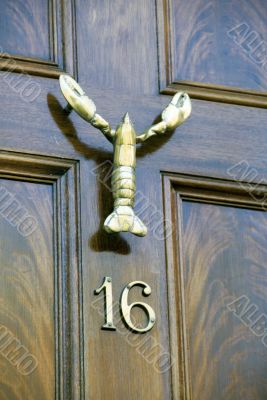 Brass Door Knocker