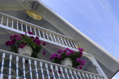 Hanging Baskets
