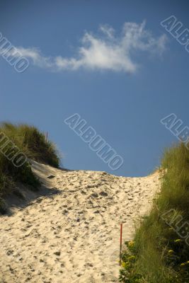 Footpath over the dunes
