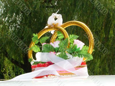 Wedding decorations with white pigeons