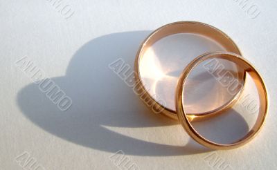 Two wedding gold rings on white background