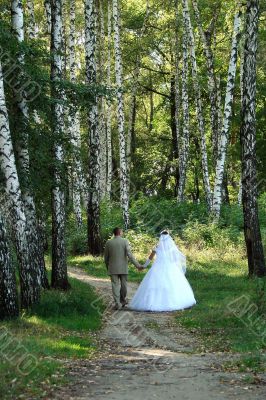 Just Married in spring white birch alley