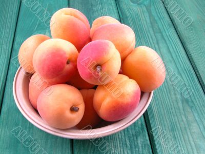 apricots