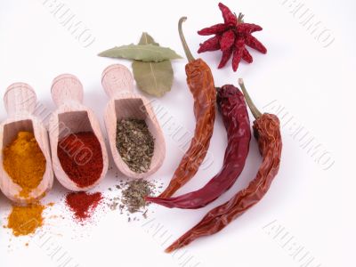 spices