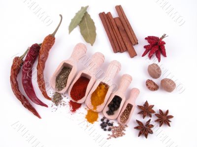 spices