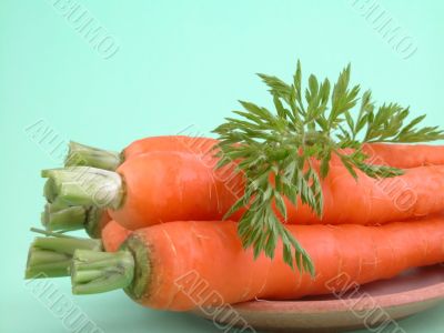 fresh carrots