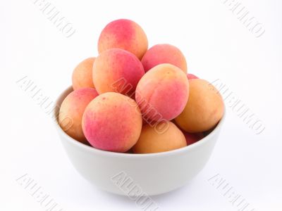 apricots