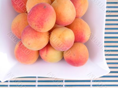 pile of apricots