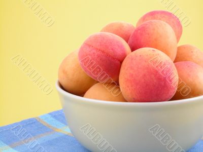 apricots