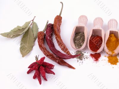spices