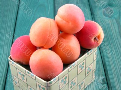 apricots