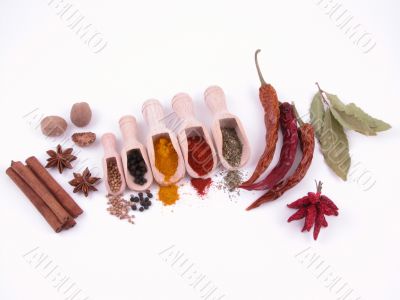spices