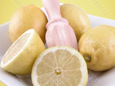 lemon squeezer