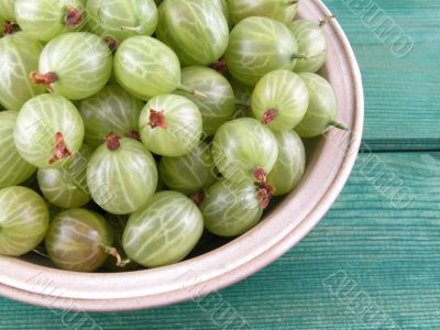 gooseberries