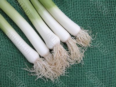 fresh leeks on board
