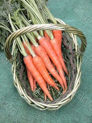 carrots