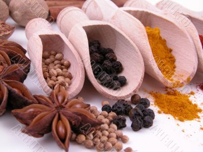 spices