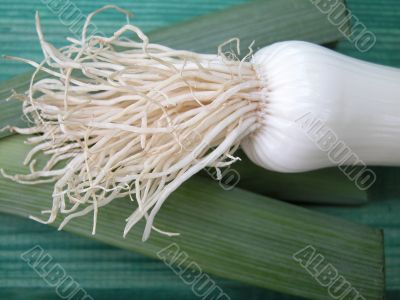 fresh leeks on board