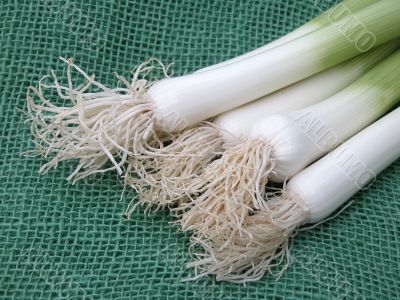 fresh leeks on board