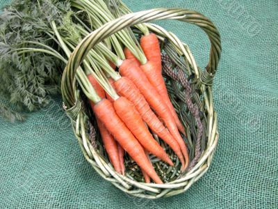carrots