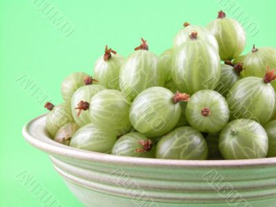 gooseberries