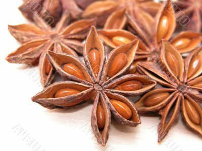 anise stars