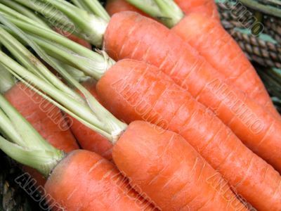 carrots