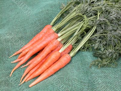 carrots
