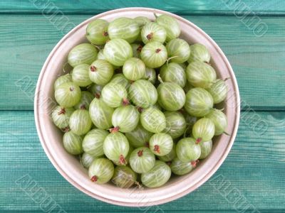gooseberries