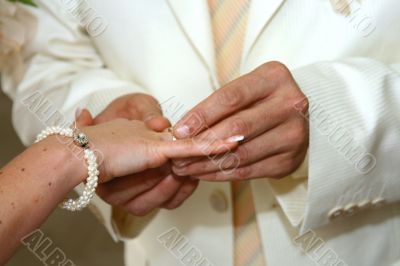 wedding