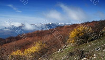 Spring mountains landscape