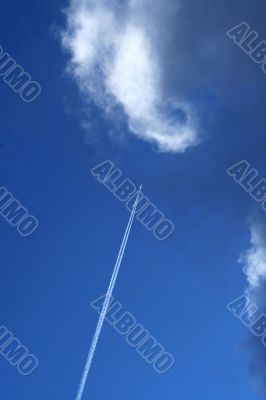 The airplane flies in the sky