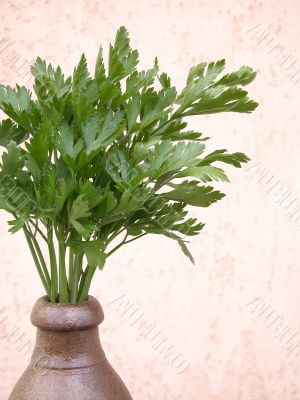 parsley