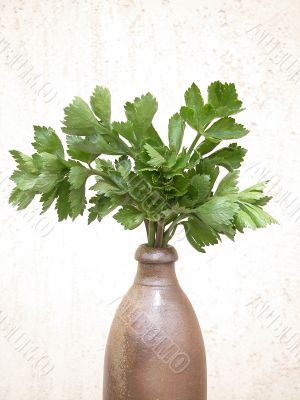 celery
