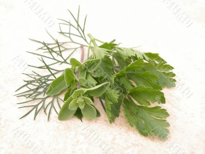 parsley marjoram and dill