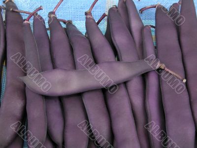 string beans