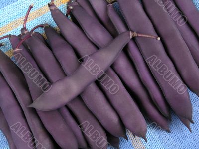 string beans