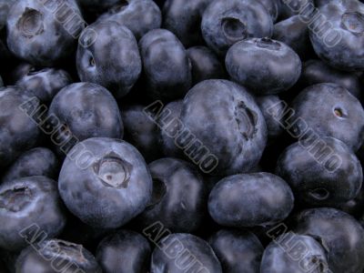 blueberries background