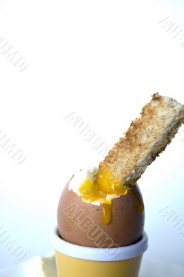 Soft boiled egg with buttered soldiers